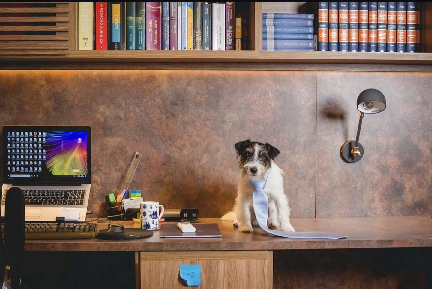 Cachorro de gravata sobre a mesa do escritório